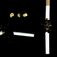 Müsli and Cigarettes